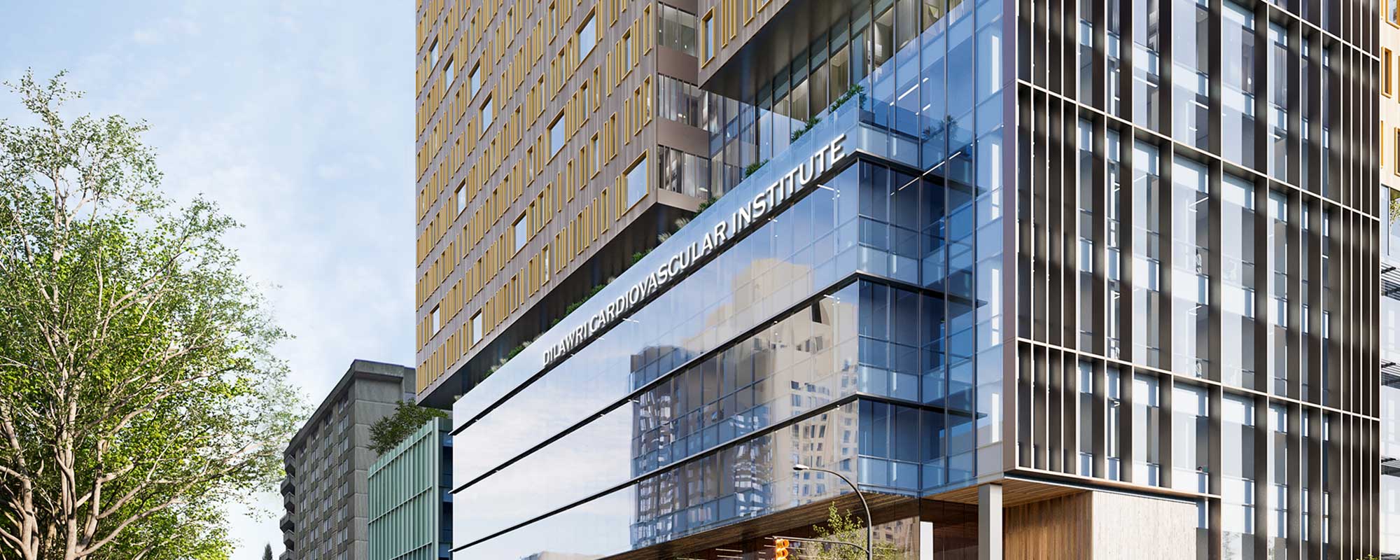 Leading The Way In Cardiovascular Care